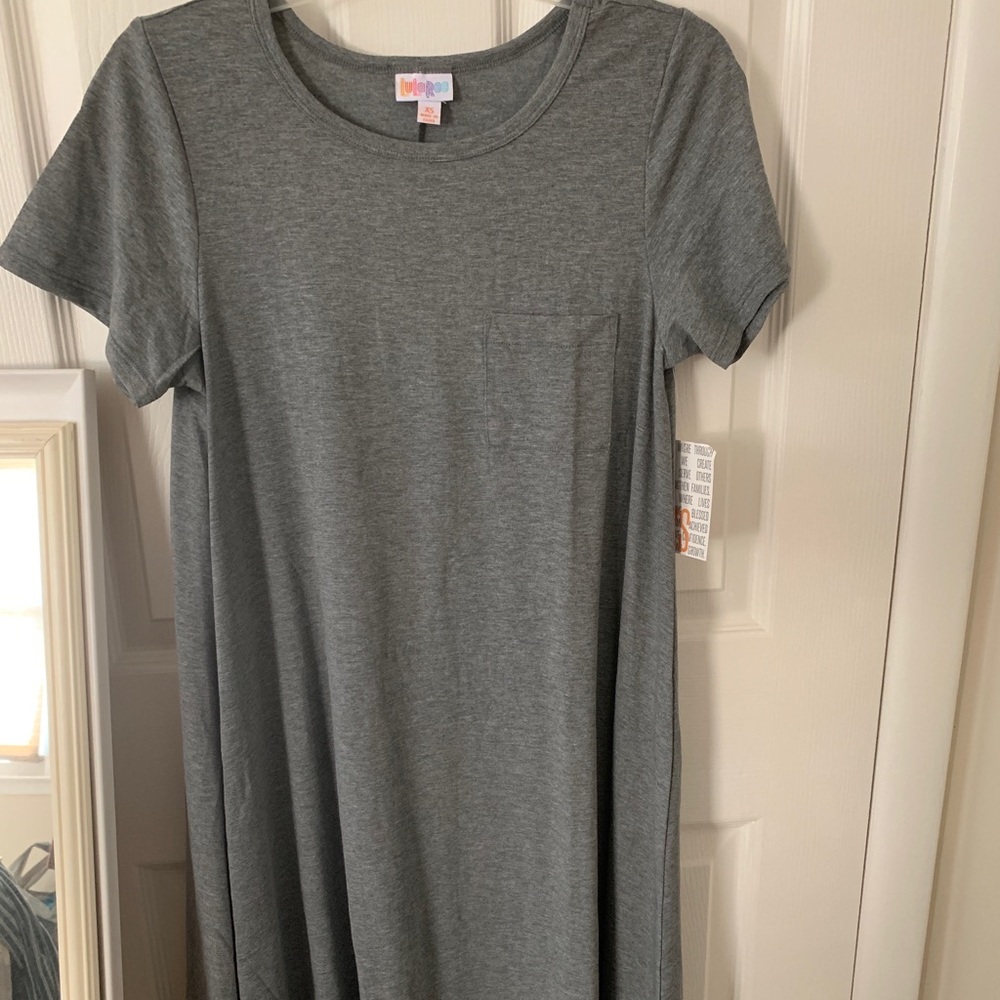 NWT LuLaRoe Carly Dress